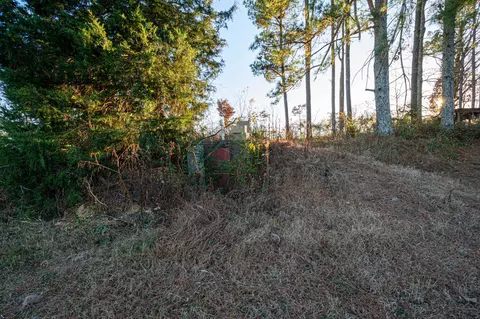 263 Appleton Rd, Five Points, TN 38457 photo 60