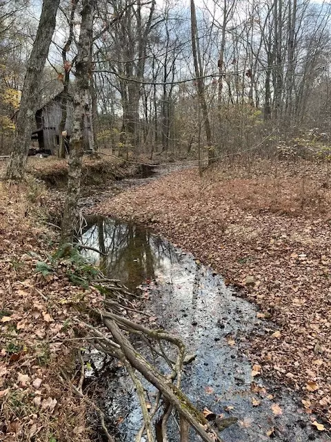 0 Bishop Rd, Cumberland Furnace, TN 37051