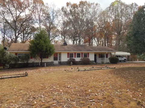 5651 Little Cypress Rd, Iron City, TN 38463