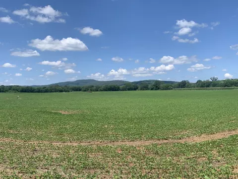 1533 Sr 50, Pelham, TN 37366