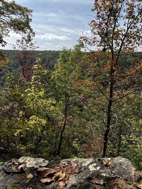 0 0 Old Falls Trl, Tracy City, TN 37387