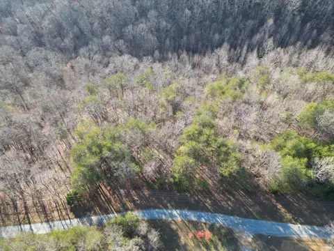0 Lyell Rd # A, Hohenwald, TN 38462