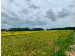 792 N Leath Rd, Portland, TN 37148