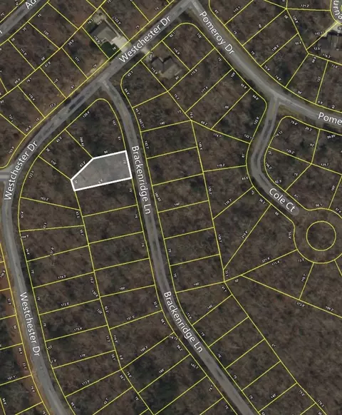 12 Brackenridge Ln, Crossville, TN 38555
