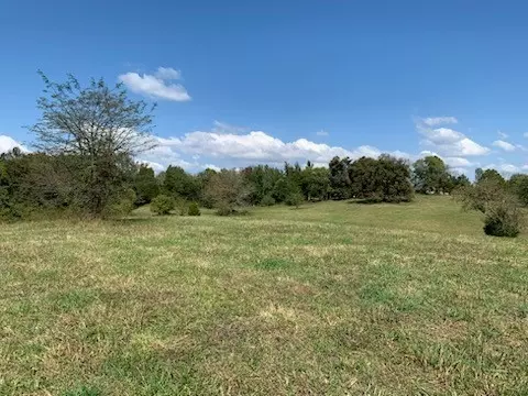 1132 Harsh Ln, Castalian Springs, TN 37031