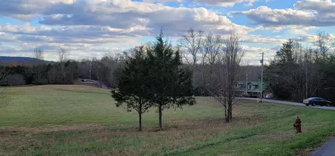0 Lakeview Rd, Walling, TN 38587 photo 4