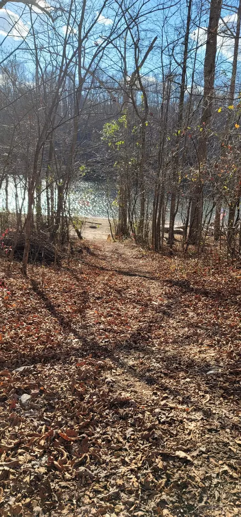 0 Lakeview Rd, Walling, TN 38587 photo 6