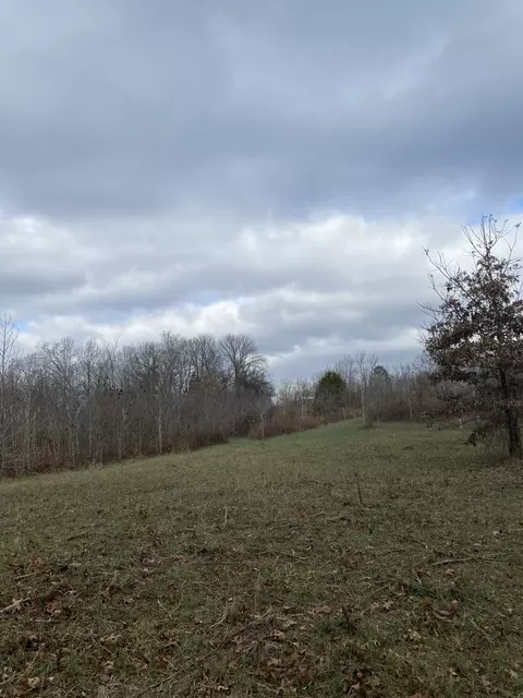 0 Bob Lewis Rd, Indian Mound, TN 37079