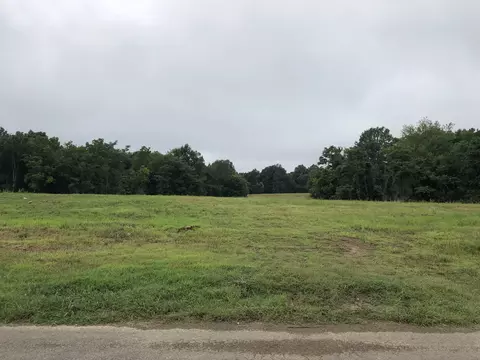 0 Chestnut Grove Rd Tn, Pulaski, TN 38478