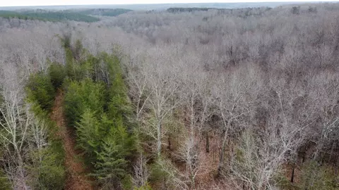 545 Howard Switch Rd, Hohenwald, TN 38462