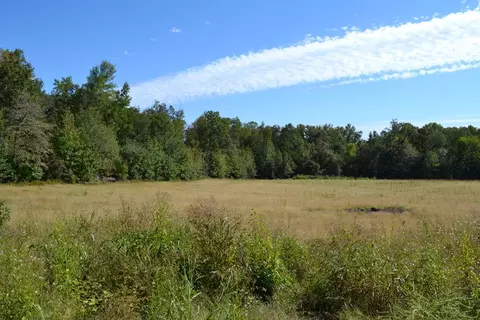 1 Hayes Ridge Rd, Indian Mound, TN 37079