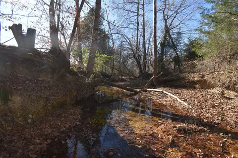 2067 Deer Creek Rd, Linden, TN 37096