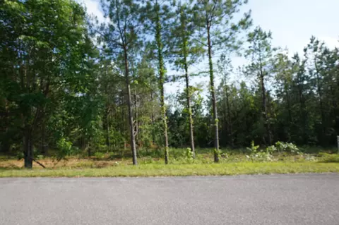 2 Onion Hill Rd, Dover, TN 37058