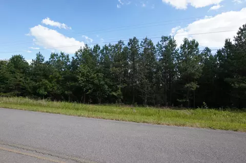 3 Onion Hill Rd, Dover, TN 37058