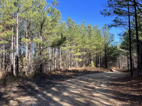 0 Off Cotton Branch Rd, Linden, TN 37096