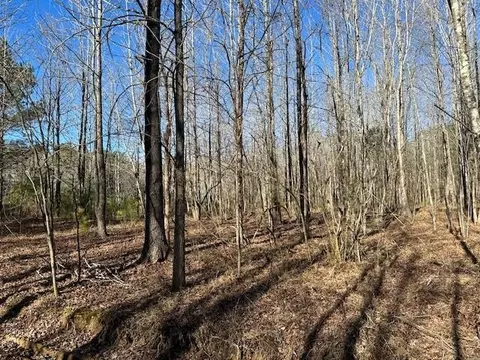 0 Raintree Dr, Big Sandy, TN 38221