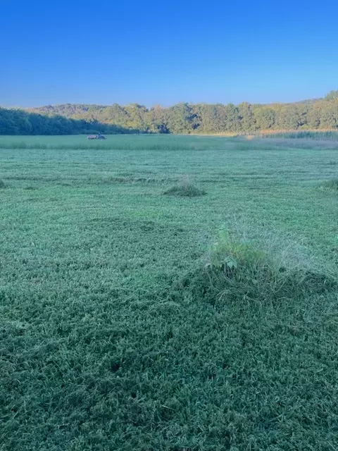 769 N Mckee Rd, Watertown, TN 37184