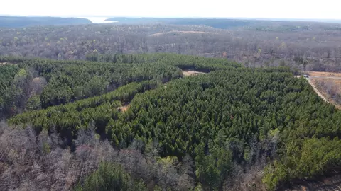 0 Highway 232, Dover, TN 37058