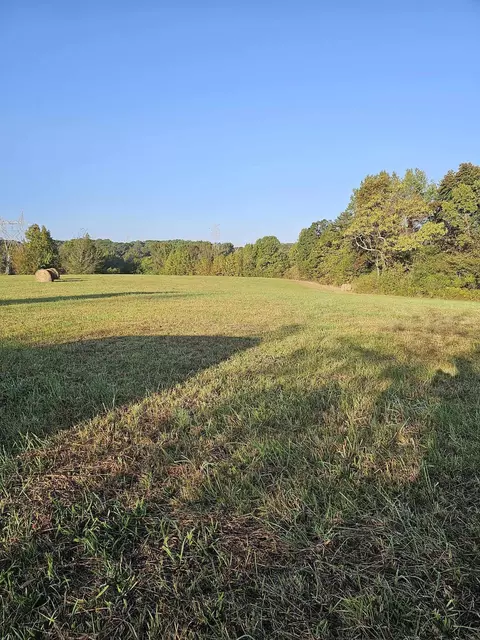 0 Co Rd 93, Bryant, AL 35958