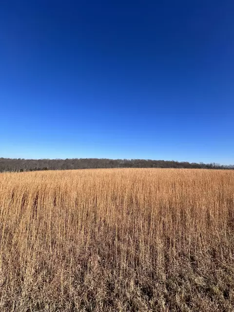5 Highway 52, Red Boiling Springs, TN 37150