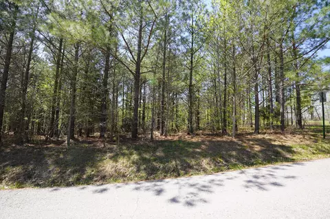 4 Onion Hill Rd, Dover, TN 37058