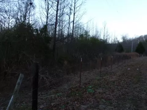 4341 14, Waterloo, AL 35677 photo 2