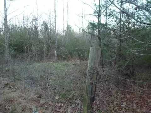 4341 14, Waterloo, AL 35677 photo 4