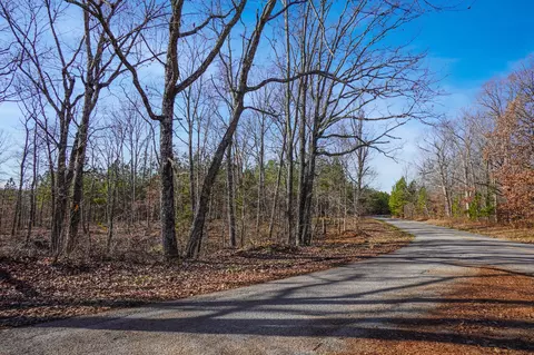 7 Cottrell Ridge Rd, Dover, TN 37058 photo 6