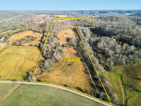 0 Woodrow Rd, Frankewing, TN 38459