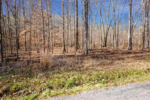 11 Ribbon Branch Rd, Dover, TN 37058
