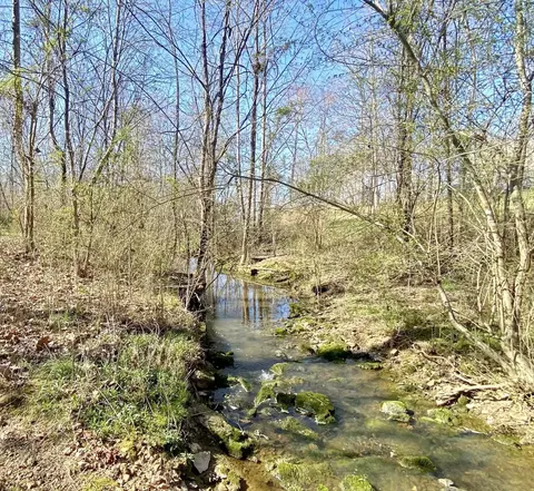 0 Spring Meadows Rd, Morrison, TN 37357 photo 8