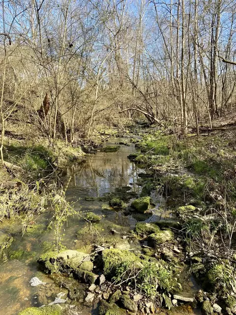 0 Spring Meadows Rd, Morrison, TN 37357 photo 9