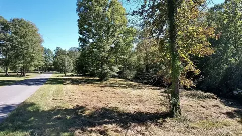 0 Spring Meadows Rd, Morrison, TN 37357 photo 4