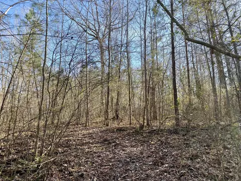 0 Spring Meadows Rd, Morrison, TN 37357 photo 6