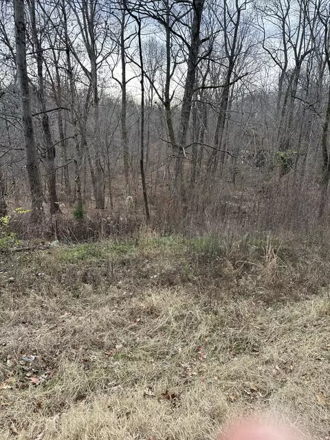 461 Ranger Rd, Beech Bluff, TN 38313