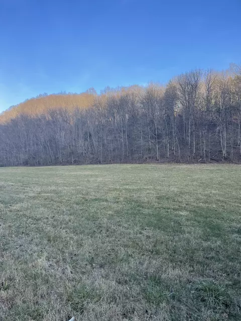 7 New Harmony Rd S, Lafayette, TN 37083