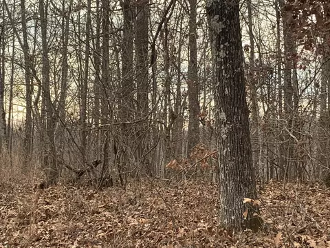 0 Rocky Point Rd, Tennessee Ridge, TN 37178