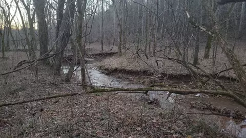 0 New Rd Tract 5, Clarksville, TN 37040