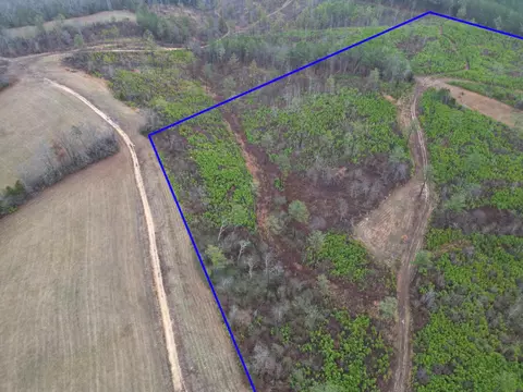 0 Webb Town Rd, Evensville, TN 37332