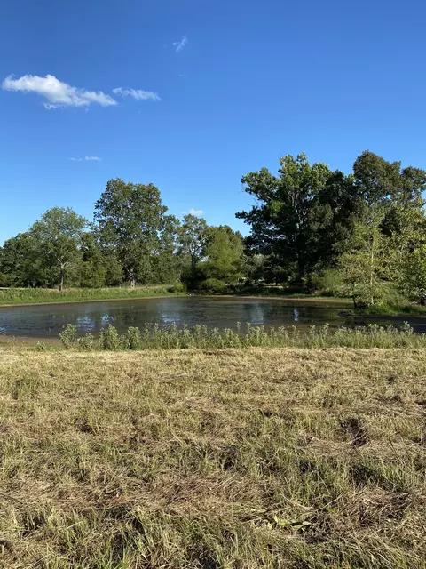 0 Mullins Chapel Rd, Shelbyville, TN 37160