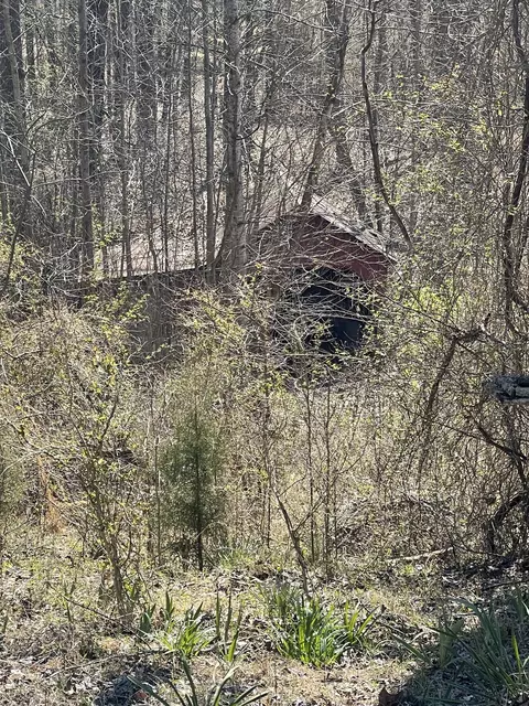 2135 Eg Nash Rd, Roundhill, KY 42275
