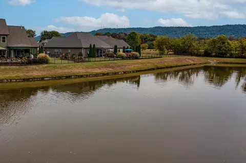 8425 River Birch Loop, Ooltewah, TN 37363 photo 56