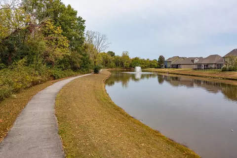 8425 River Birch Loop, Ooltewah, TN 37363 photo 59