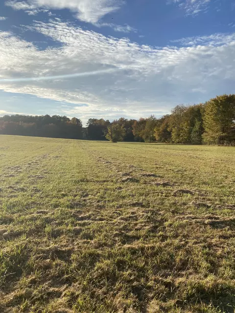 0 Capps Rd, Mcewen, TN 37101 photo 2