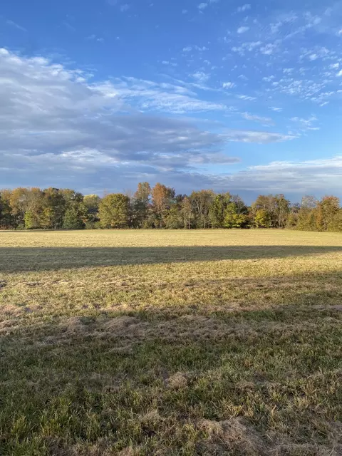0 Capps Rd, Mcewen, TN 37101 photo 4