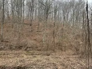 3769 Bear Hollow Rd, Joelton, TN 37080