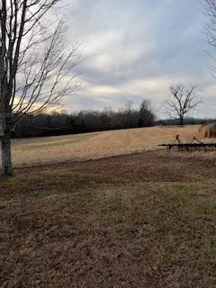 1035 Arch Cope Rd, Morrison, TN 37357 photo 14