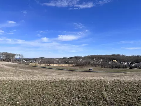 8068 Mountaintop Dr, College Grove, TN 37046