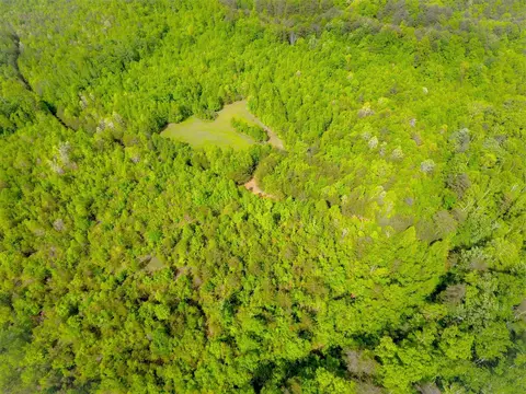 1 Palmer Firetower Rd, Palmer, TN 37365