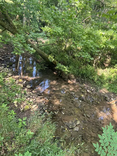 0 Shop Springs Rd #LOT 11, Watertown, TN 37184